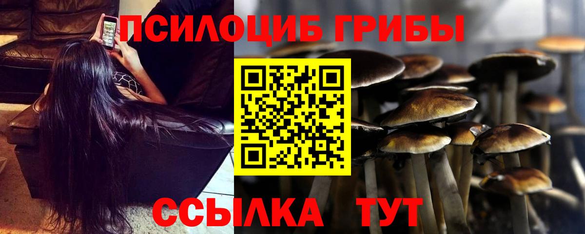 Галлюциногенные грибы ЛСД  Вход с VPN  Дмитров 