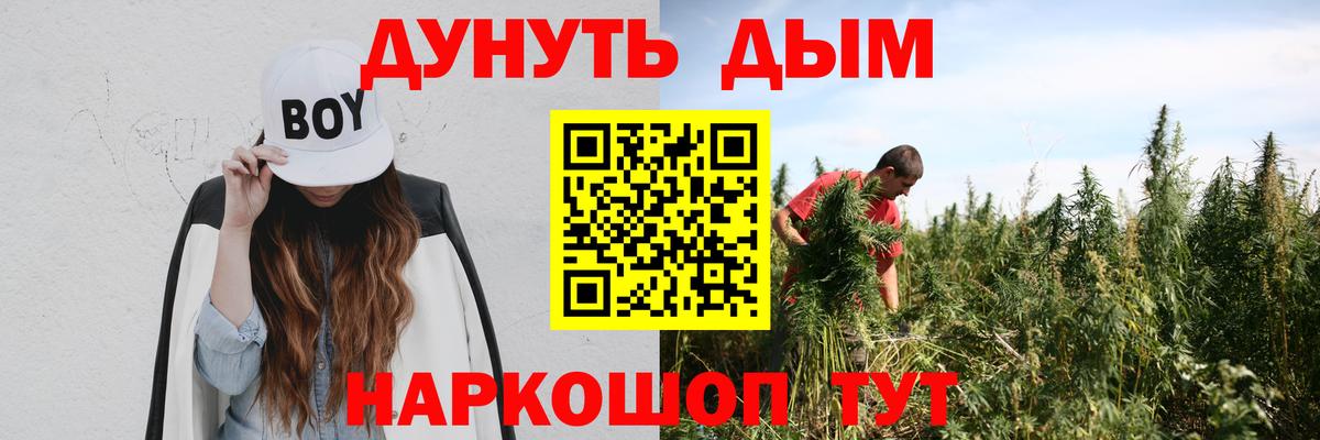Конопля Bruce Banner Дмитров